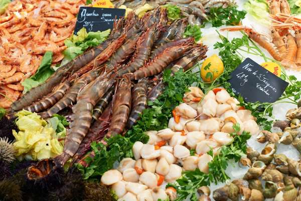 hafen marseille cote d azur fischmarkt