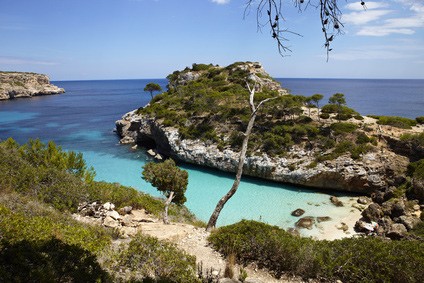 calo des moro