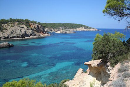 cala portinax